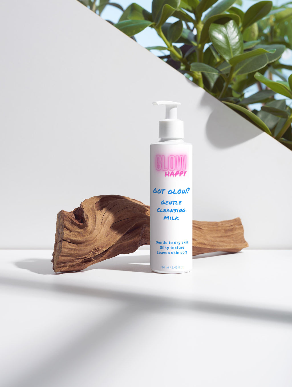 Got Glow? Gentle Cleansing Milk